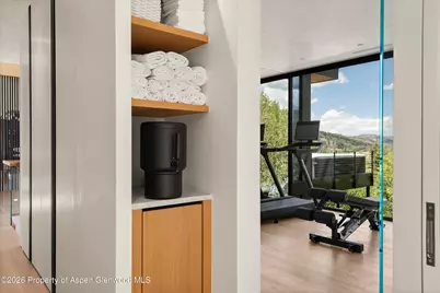 264 Larkspur Lane, Aspen, CO 81611 - Photo 27
