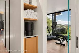 264 Larkspur Ln, Aspen, CO 81611 - Photo 27