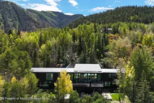 264 Larkspur Ln, Aspen, CO 81611 - Photo 1