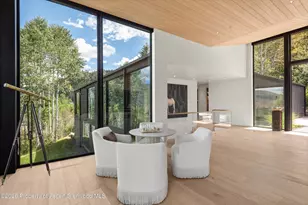264 Larkspur Ln, Aspen, CO 81611 - Photo 9