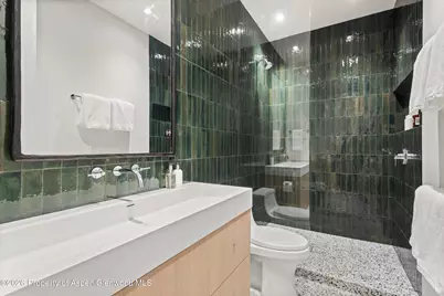 264 Larkspur Lane, Aspen, CO 81611 - Photo 39