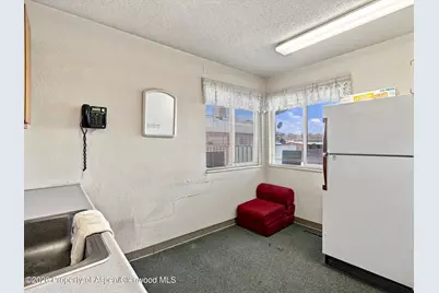 1317 N 3rd Street, Grand Junction, CO 81501 - Photo 9