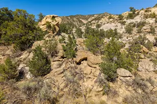 10878 Hwy 13, Rifle, CO 81650 - Photo 61