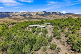 6858 Co Rd 320, Rifle, CO 81650 - Photo 25