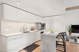 1039 E Cooper Ave, Aspen, CO 81611 - Photo 23