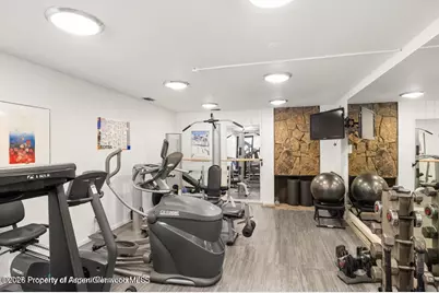 1039 E Cooper Avenue #19a & 21a, Aspen, CO 81611 - Photo 41