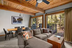 1039 E Cooper Ave, Aspen, CO 81611 - Photo 5