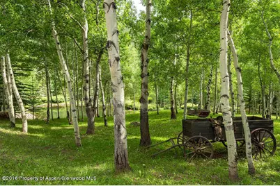 6067 Woody Creek Road, Woody Creek, CO 81656 - Photo 29