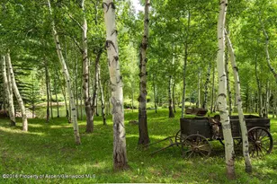 6067 Woody Creek Rd, Woody Creek, CO 81656 - Photo 29