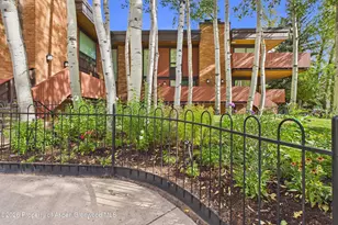 400 W Hopkins Ave, Aspen, CO 81611 - Photo 15