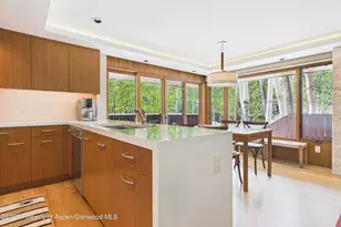 400 W Hopkins Ave, Aspen, CO 81611 - Photo 3