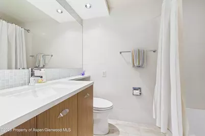 400 W Hopkins Avenue #6/7, Aspen, CO 81611 - Photo 13