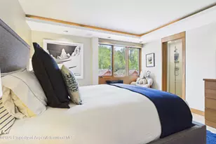 400 W Hopkins Ave, Aspen, CO 81611 - Photo 9