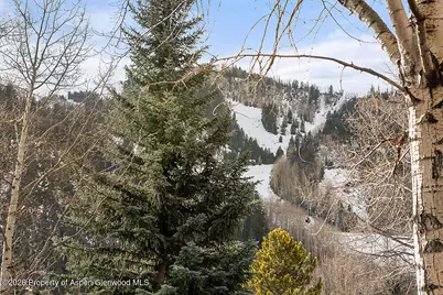 830 E Durant Avenue #8, Aspen, CO 81611 - Photo 29