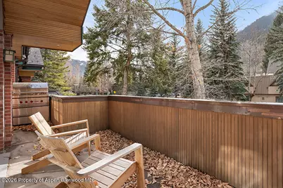 830 E Durant Avenue #8, Aspen, CO 81611 - Photo 31