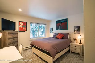 1445 Sierra Vista Dr, Aspen, CO 81611 - Photo 15
