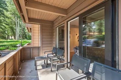 610 S West End Street #Unit K103, Aspen, CO 81611 - Photo 5