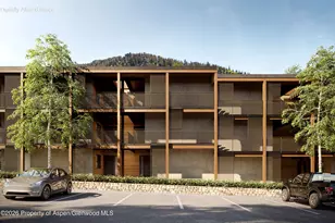 610 S West End St, Aspen, CO 81611 - Photo 23
