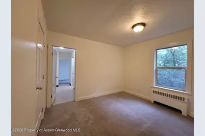 931 Blake Avenue, Glenwood Springs, CO 81601 - Photo 27