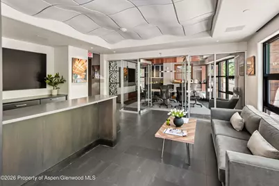 601 Rio Grande Place #101, Aspen, CO 81611 - Photo 7