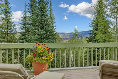 921 Faraway Road, Snowmass Village, CO 81615 - Photo 55