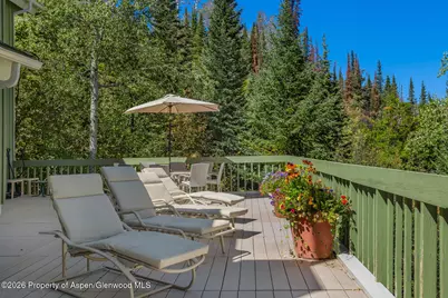 921 Faraway Road, Snowmass Village, CO 81615 - Photo 71