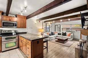 914 Waters Ave, Aspen, CO 81611 - Photo 7