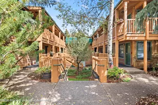 914 Waters Ave, Aspen, CO 81611 - Photo 15
