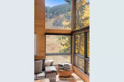 800 S Monarch Street #Unit 9, Aspen, CO 81611 - Photo 5