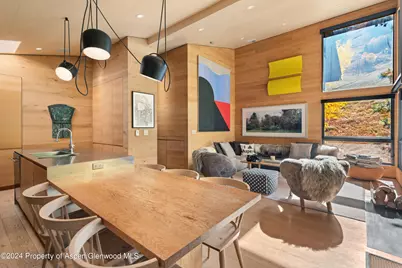 800 S Monarch Street #Unit 9, Aspen, CO 81611 - Photo 7