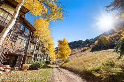 800 S Monarch Street #Unit 9, Aspen, CO 81611 - Photo 25