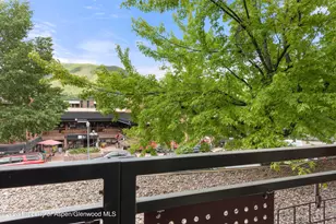 555 E Durant Ave, Aspen, CO 81611 - Photo 19