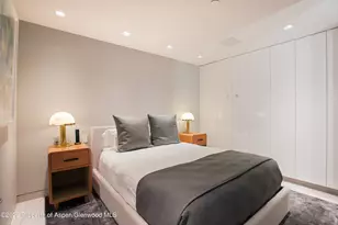 555 E Durant Ave, Aspen, CO 81611 - Photo 15