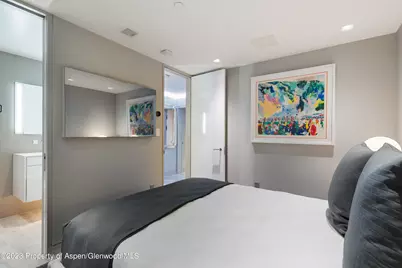 555 E Durant Avenue #2l, Aspen, CO 81611 - Photo 13