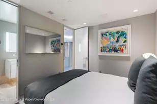 555 E Durant Ave, Aspen, CO 81611 - Photo 13