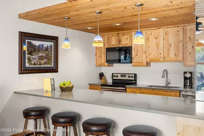1039 E Cooper Avenue #21a, Aspen, CO 81611 - Photo 9