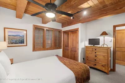 1039 E Cooper Avenue #21a, Aspen, CO 81611 - Photo 17