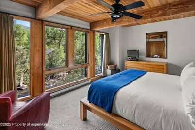 1039 E Cooper Avenue #21a, Aspen, CO 81611 - Photo 13