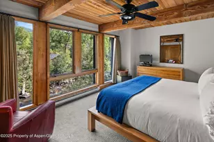 1039 E Cooper Ave, Aspen, CO 81611 - Photo 13