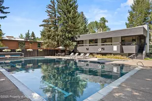 1039 E Cooper Ave, Aspen, CO 81611 - Photo 33