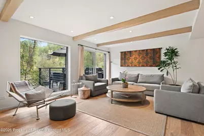 1039 E Cooper Avenue #19a, Aspen, CO 81611 - Photo 3