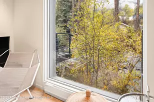 1039 E Cooper Ave, Aspen, CO 81611 - Photo 13