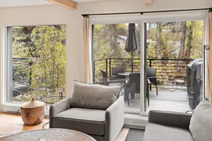 1039 E Cooper Ave, Aspen, CO 81611 - Photo 11