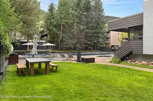 1039 E Cooper Ave, Aspen, CO 81611 - Photo 19