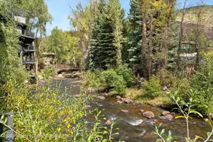 1039 E Cooper Ave, Aspen, CO 81611 - Photo 17