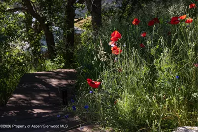 14418 Highway 133, Carbondale, CO 81623 - Photo 63