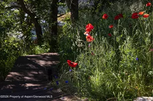 14418 Hwy 133, Carbondale, CO 81623 - Photo 63