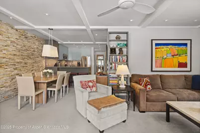 610 S West End Street #K201, Aspen, CO 81611 - Photo 5