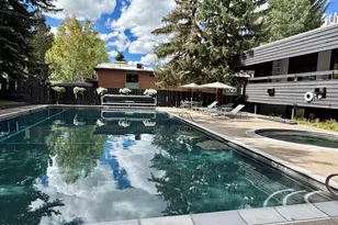 1039 E Cooper Ave, Aspen, CO 81611 - Photo 27