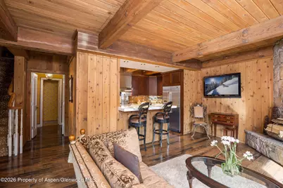 1039 E Cooper Avenue #13, Aspen, CO 81611 - Photo 17
